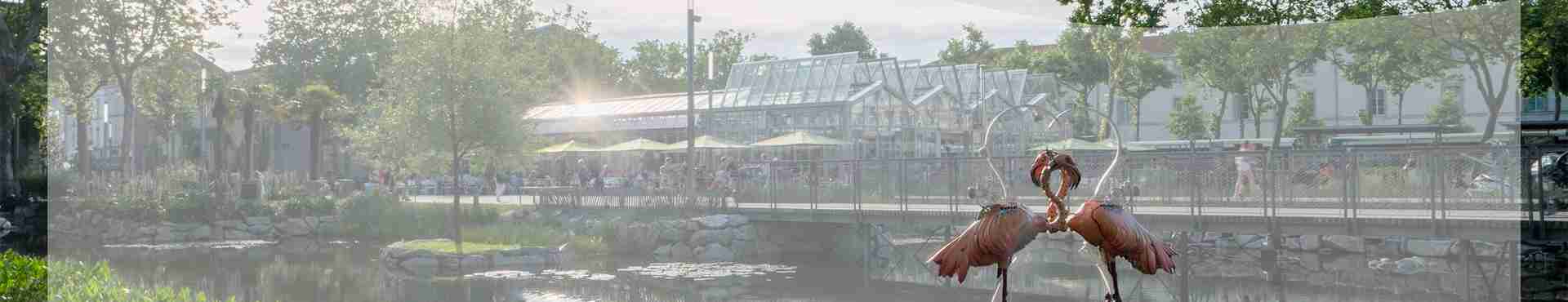 Article de blog_Agence-la-Roche-sur-Yon.jpg