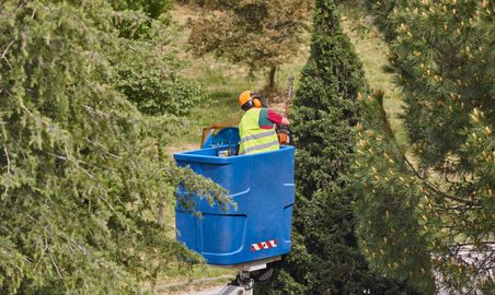 Agriculture_Paysagiste_Agent-espace-vert_Homme_Européen.jpg